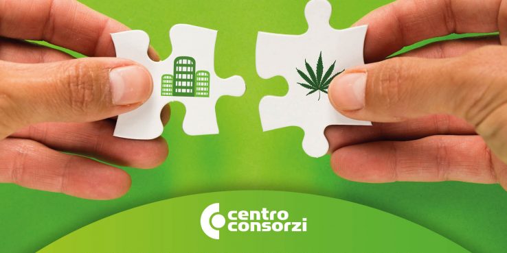 Canapa_edilizia_BANNER WEB