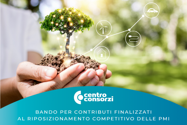 CONTRIBUTI PER RIPOSIZIONAMENTO COMPETITIVO DELLE PMI