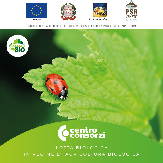 CENTRO CONSORZI CORSO LOTTA BIOLOGICA IN REGIME DI AGRICOLTURA BIOLOGICA