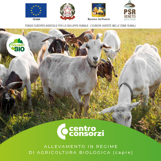 CENTRO CONSORZI CORSO Allevamento in regime di agricoltura biologica - focus capre