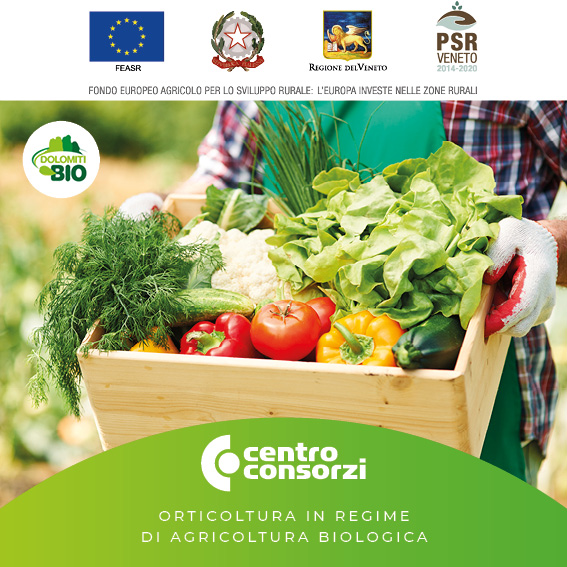 centro consorzi corso Orticoltura in regime di agricoltura biologica