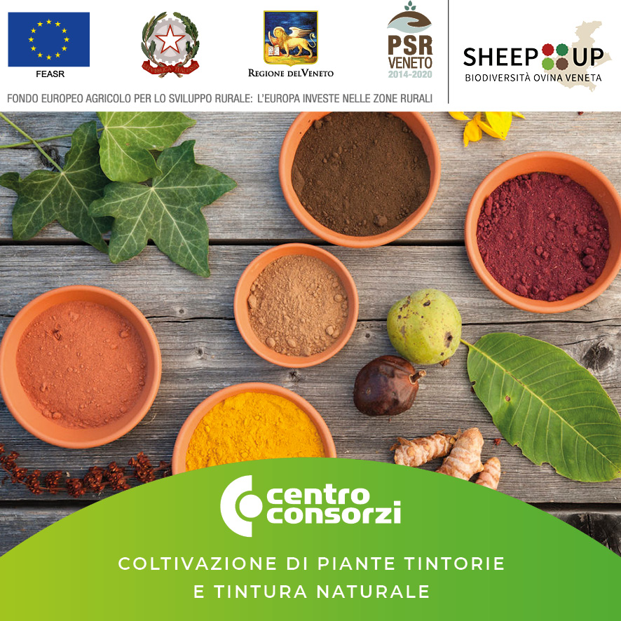 Centro Consorzi - Progetto Sheep Up corso COLTIVAZIONE DI PIANTE TINTORIE E TINTURA NATURALE