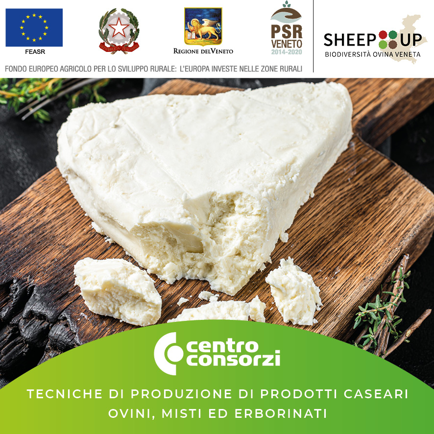 Centro Consorzi - Progetto Sheep Up corso TECNICHE DI PRODUZIONE DI PRODOTTI CASEARI OVINI, MISTI ED ERBORINATI