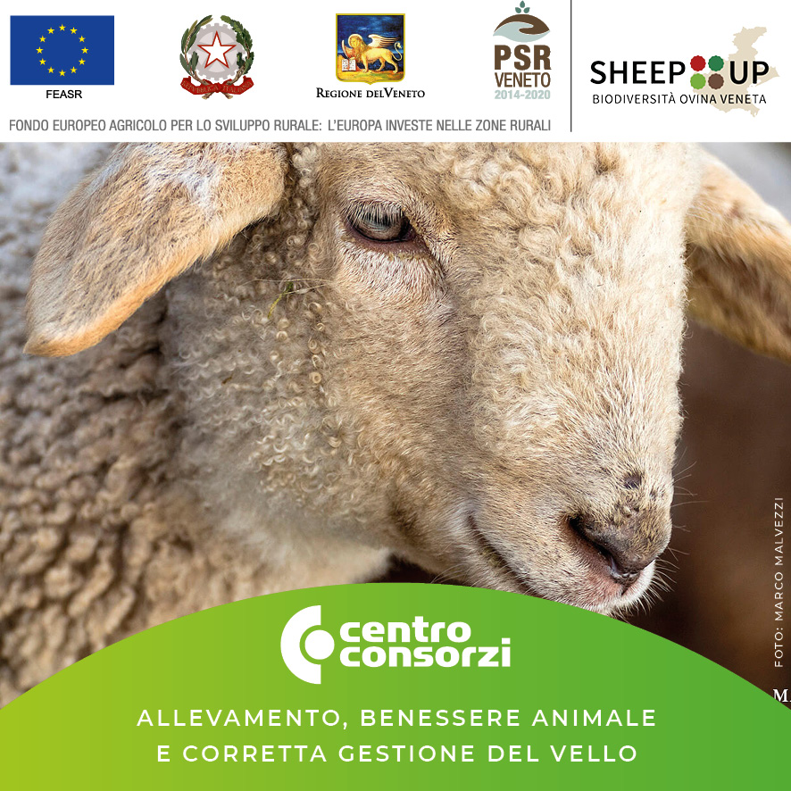 Centro Consorzi - Progetto Sheep Up corso ALLEVAMENTO, BENESSERE ANIMALE E CORRETTA GESTIONE DEL VELLO