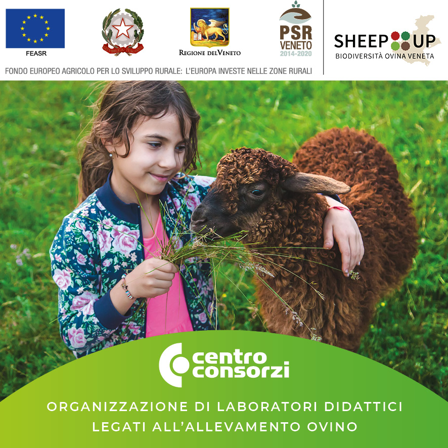 Centro Consorzi - Progetto Sheep Up corso ORGANIZZAZIONE DI LABORATORI DIDATTICI LEGATI ALL'ALLEVAMENTO OVINO